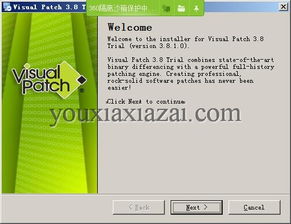 Visual Patch漢化版下載與補丁制作工具3.8.1的軟件開發及維護指南